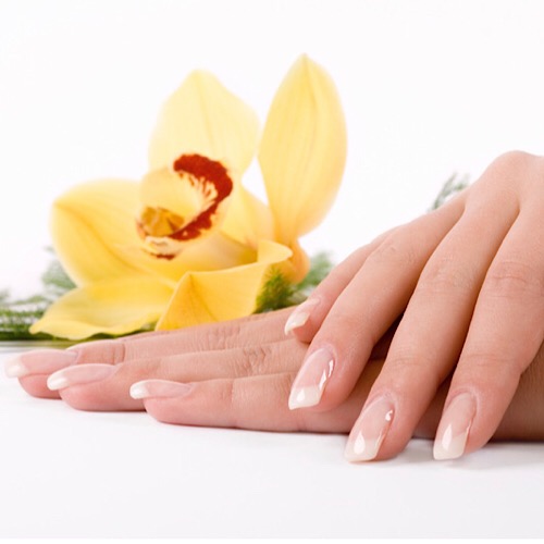 LOTUS NAIL LOUNGE - manicure