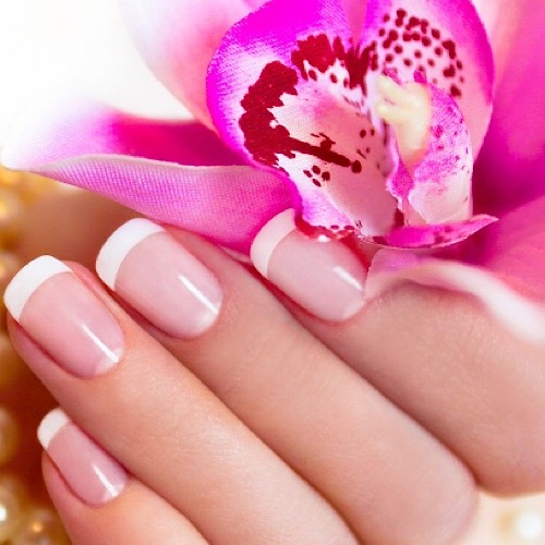 LOTUS NAIL LOUNGE - full set nails